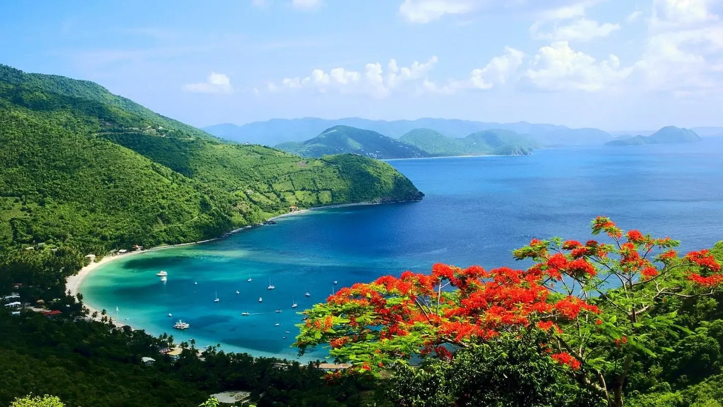 稳定性高效智能